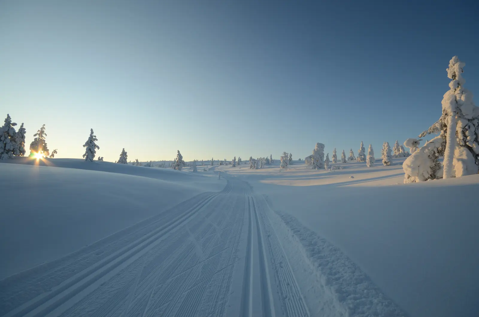Ylläs